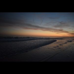 Meet your Posher, Noah